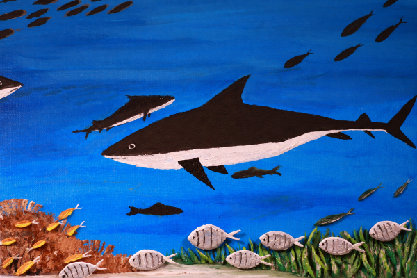 Bull Shark Print