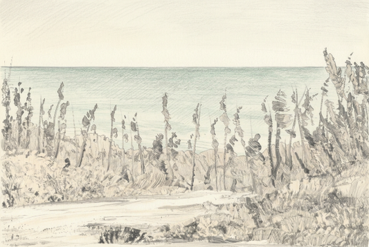 Bohemian Dream Weeds on the Beach Print