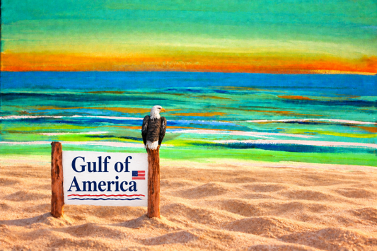 Gulf of America Framed Art Print, 8 x 10