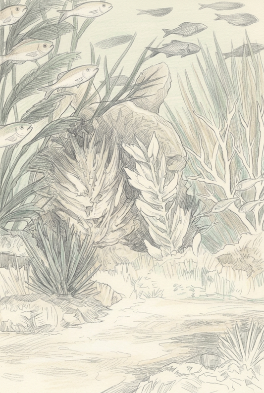 Palm Fish Garden Print