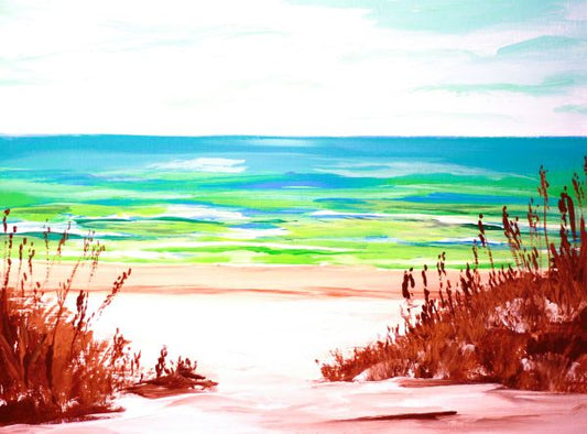Santa Rosa Island Fun Print