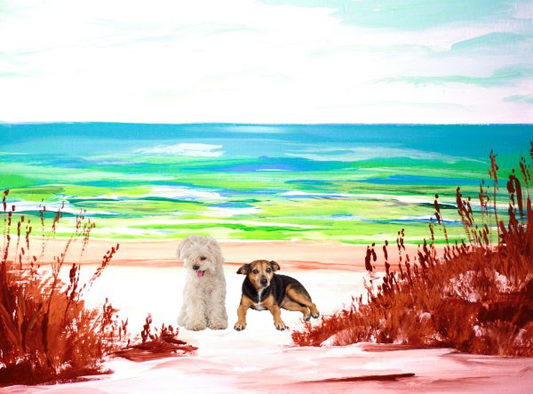 Santa Rosa Island Fun Print