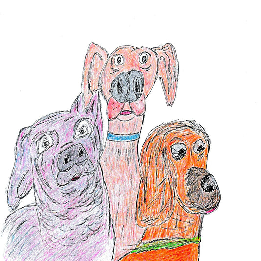 Three Dog Night Print