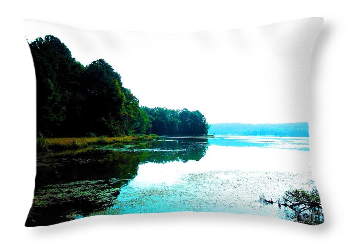 Dallas Bay - Throw Pillow