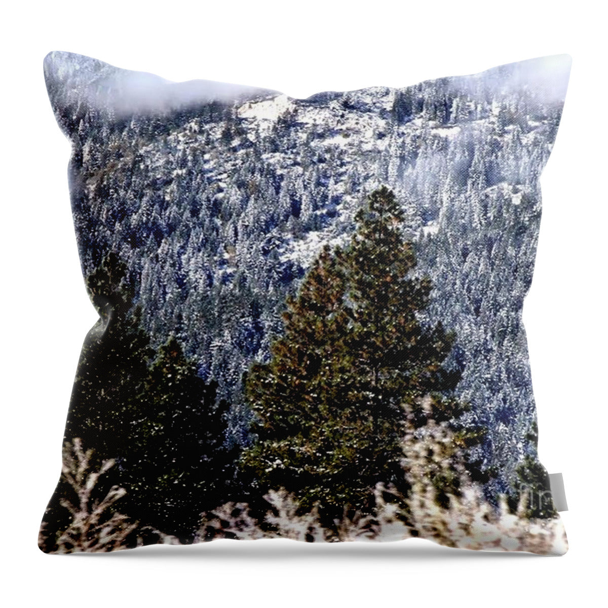 Deep Valley - Throw Pillow