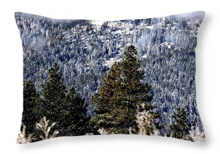 Deep Valley - Throw Pillow