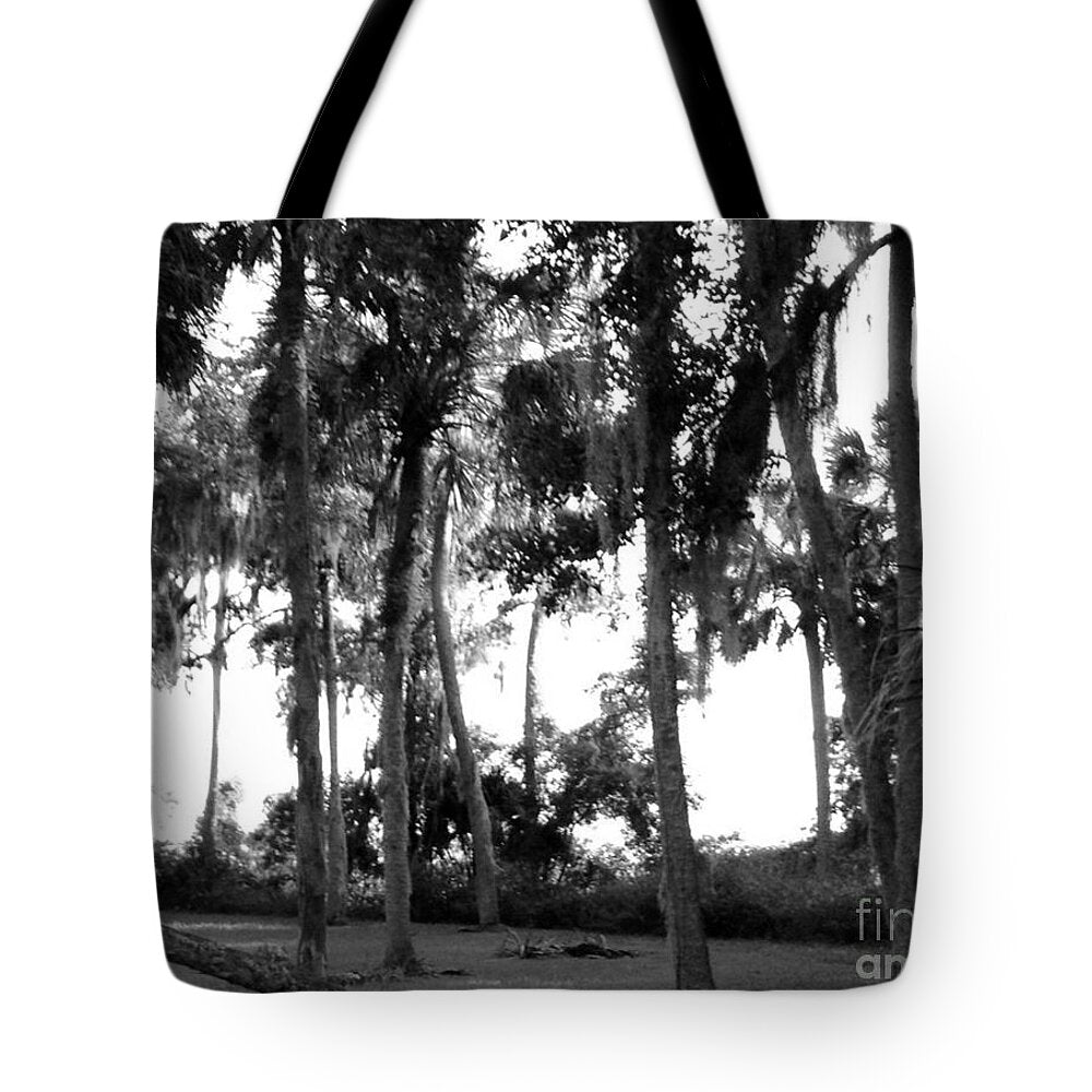 Florida In The Autumn Original Photography by James Daugherty - Tote Bag