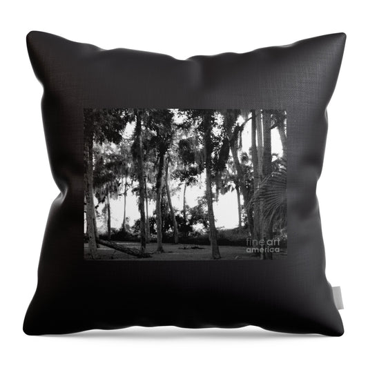 Florida In The Autumn Original Photography by James Daugherty - Throw Pillow