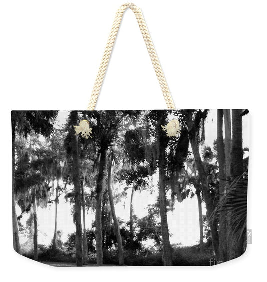 Florida In The Autumn Original Photography by James Daugherty - Weekender Tote Bag