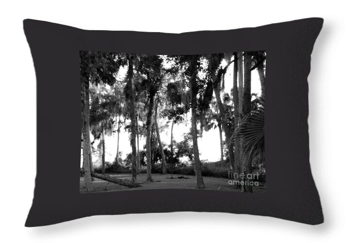 Florida In The Autumn Original Photography by James Daugherty - Throw Pillow