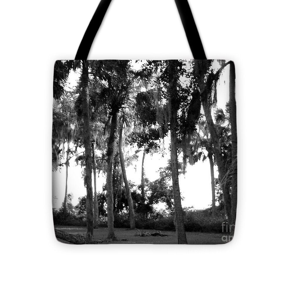 Florida In The Autumn Original Photography by James Daugherty - Tote Bag