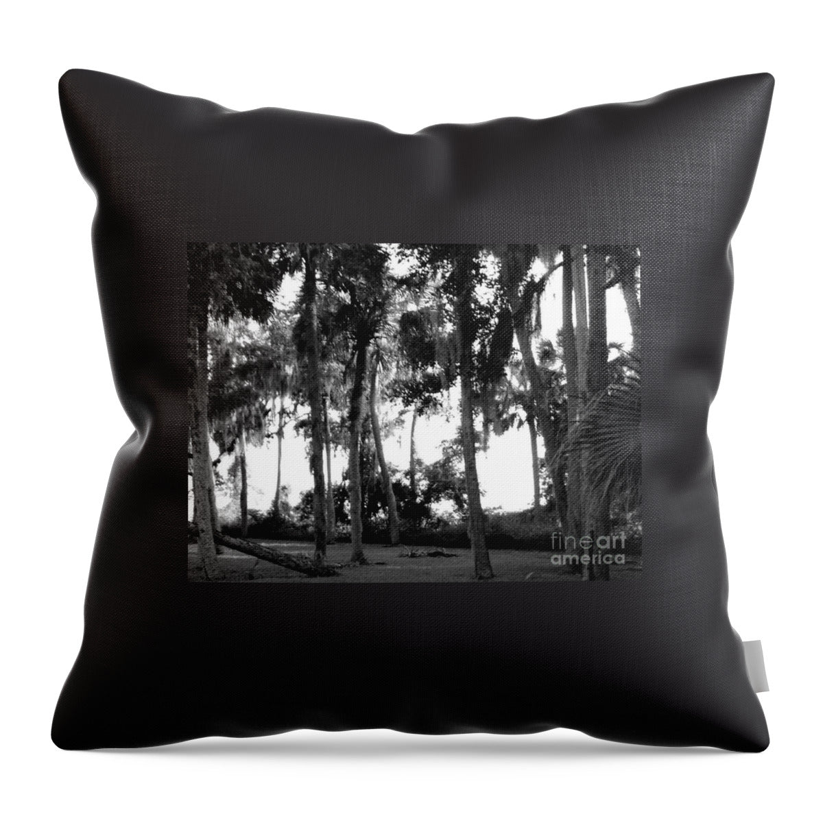 Florida In The Autumn Original Photography by James Daugherty - Throw Pillow