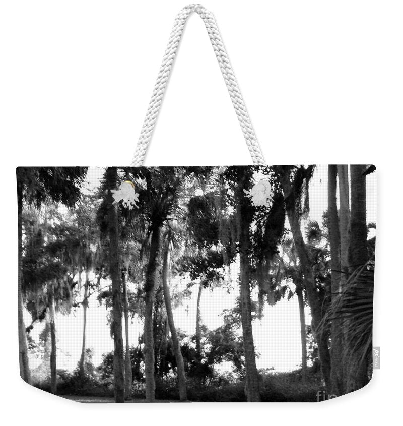 Florida In The Autumn Original Photography by James Daugherty - Weekender Tote Bag