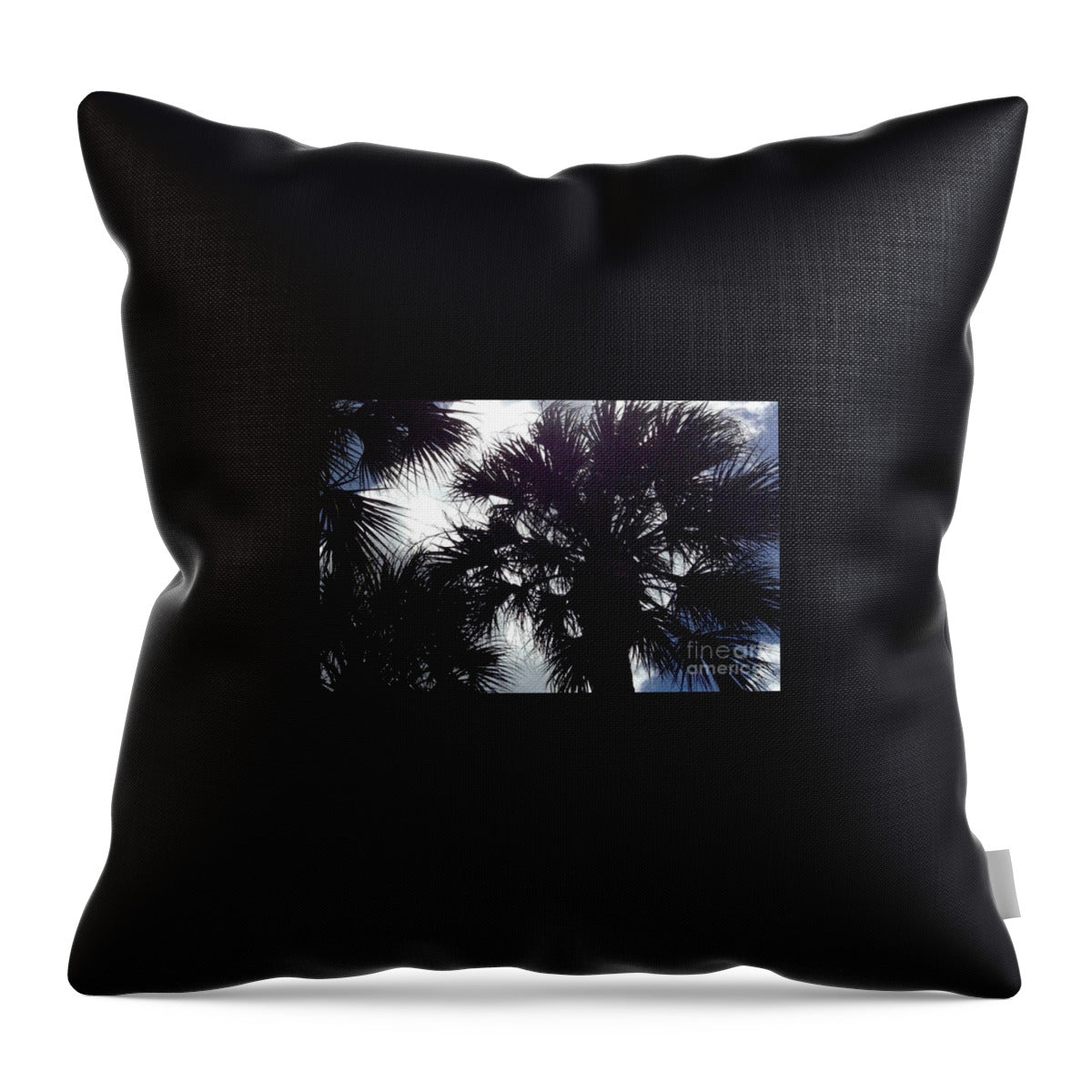 On A Beautiful Day Original Photograph by James Daugherty - Throw Pillow