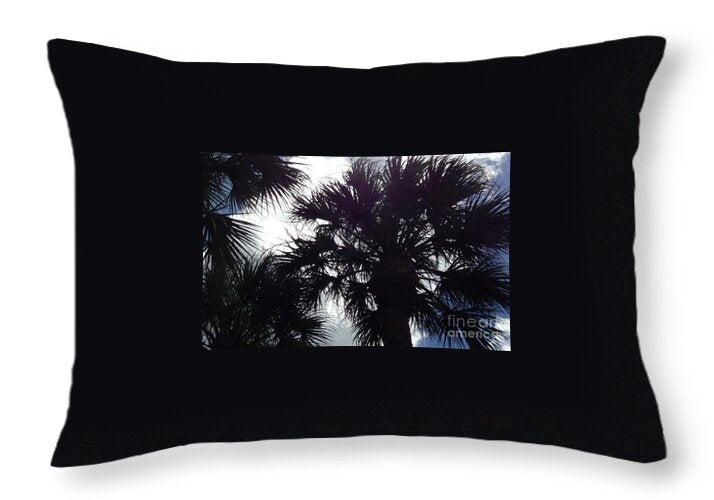 On A Beautiful Day Original Photograph by James Daugherty - Throw Pillow