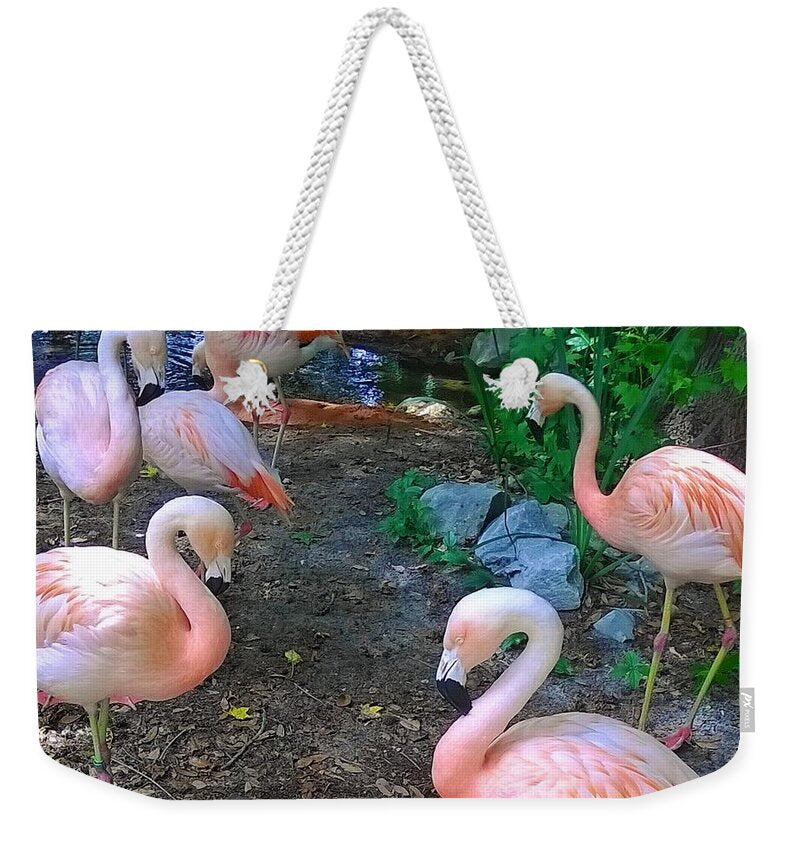 Pink Flamingos - Weekender Tote Bag