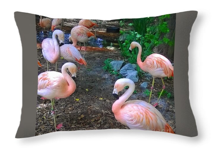 Pink Flamingos - Throw Pillow