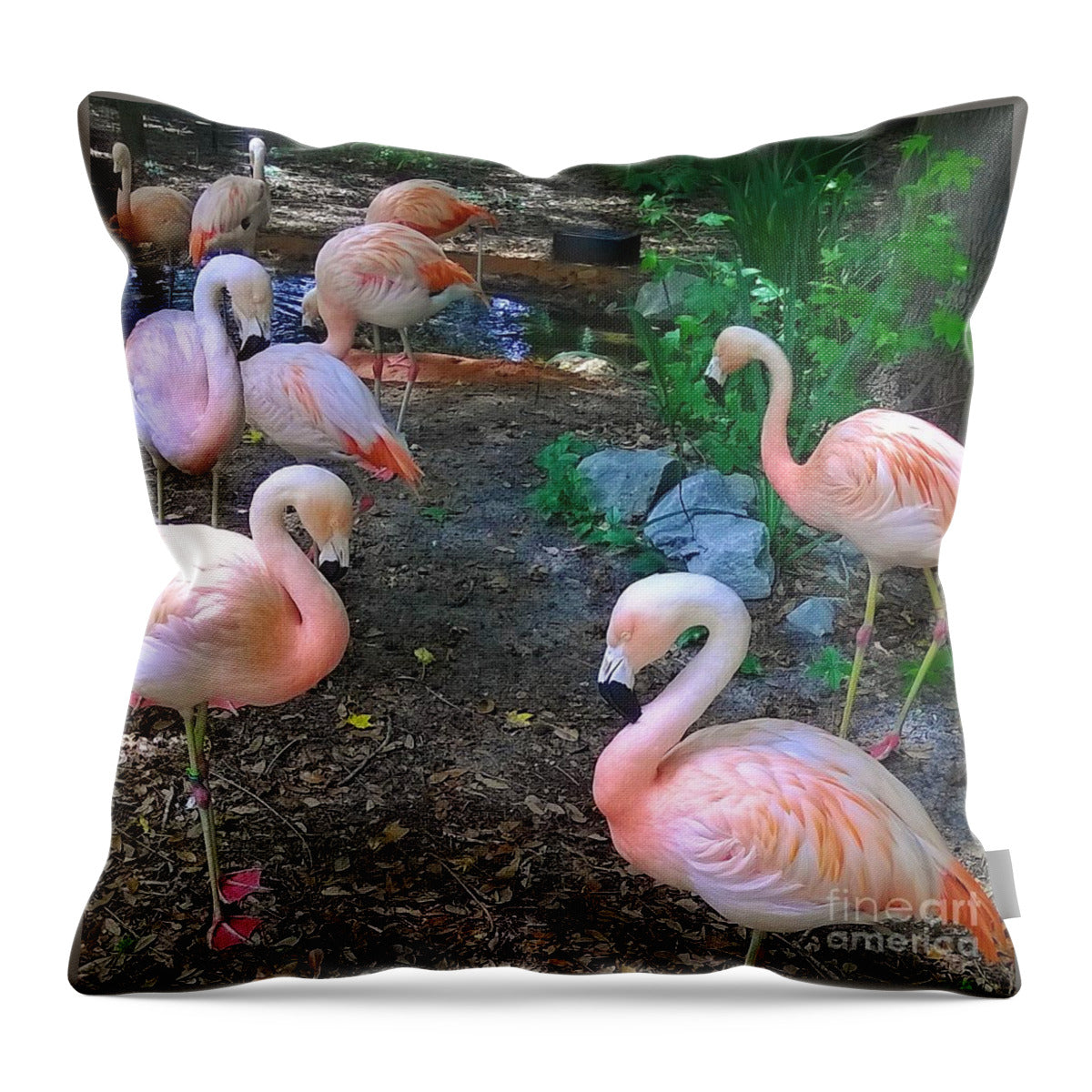 Pink Flamingos - Throw Pillow