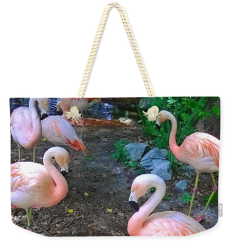 Pink Flamingos - Weekender Tote Bag