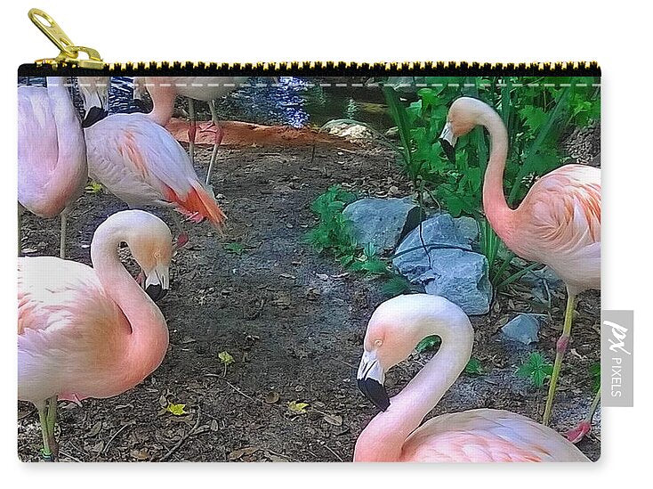 Pink Flamingos - Zip Pouch