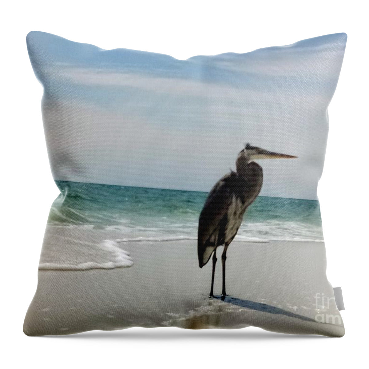 Sand, water, Bird - Throw Pillow