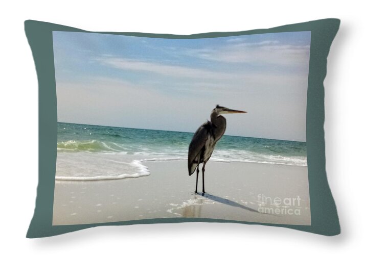 Sand, water, Bird - Throw Pillow