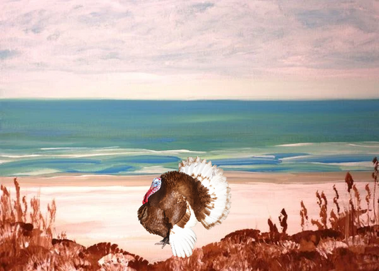 Santa Rosa Island Framed Art Print, 8 x 10